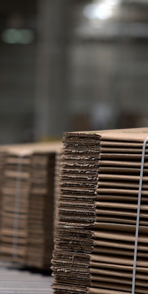 Fabricamos soluciones sostenibles para proteger los productos de nuestros clientes
