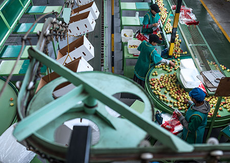 Productos agrícolas