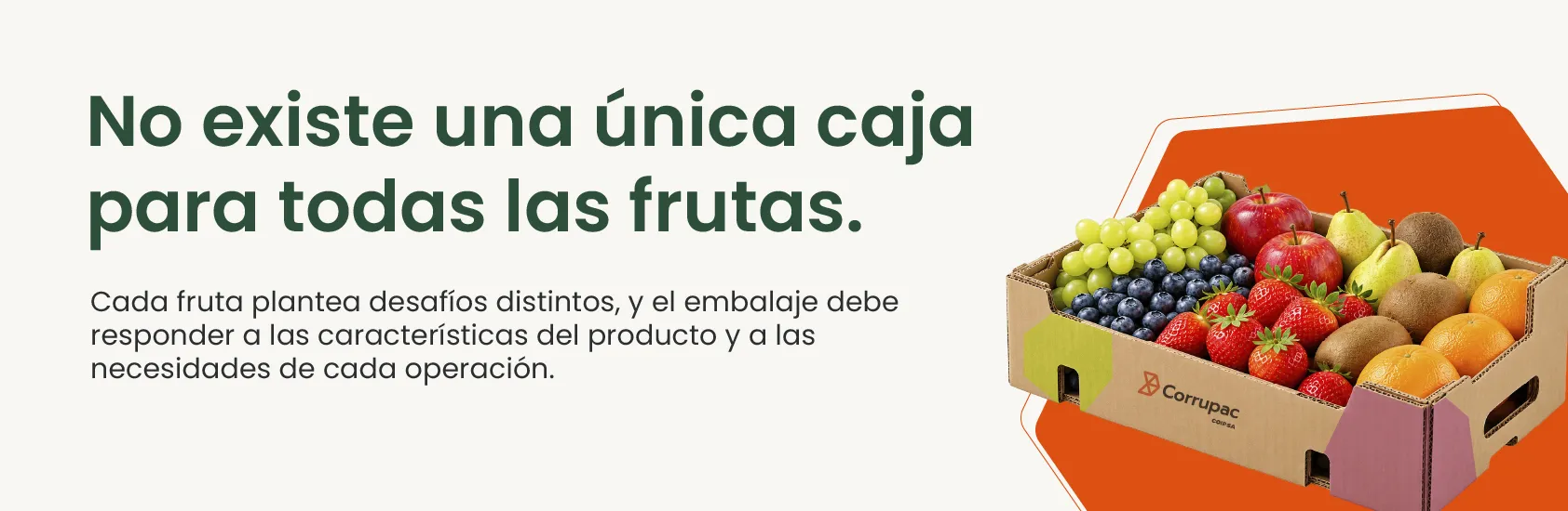 Caja de cartón corrugado con distintas frutas del mercado hortofrutícola