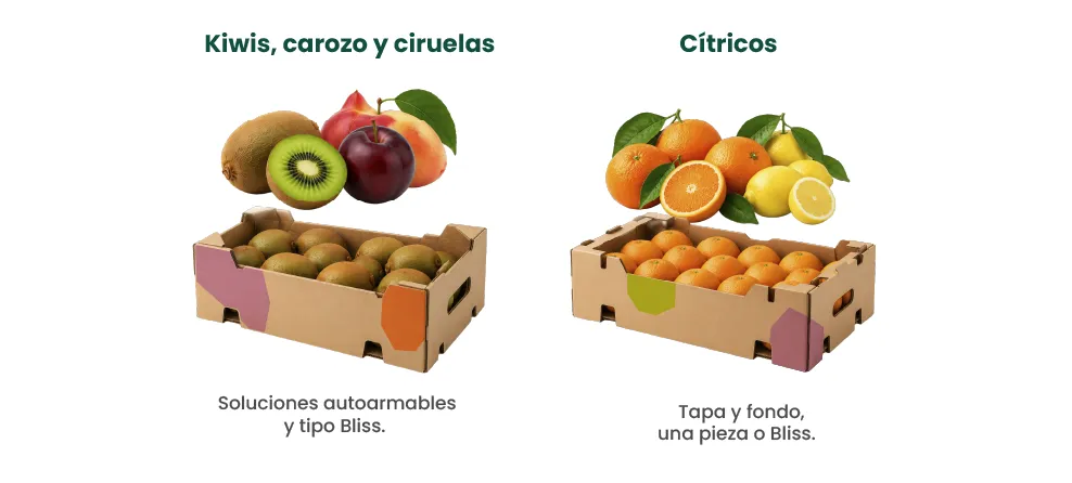 Cajas para kiwis, carozo, ciruelas y cítricos